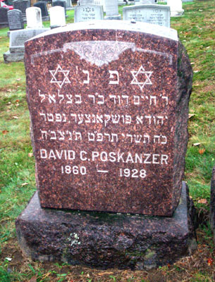 01DavidChaim